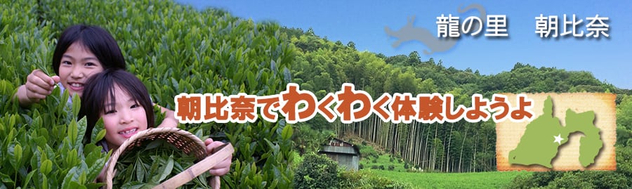 朝比奈大龍勢公式ショップ　龍の里朝比奈