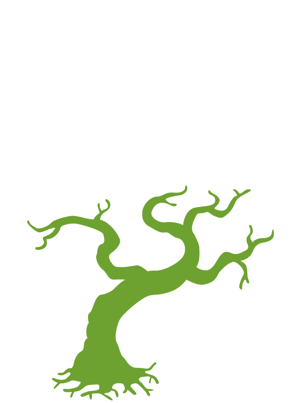 松田プレゼンツWEBストア