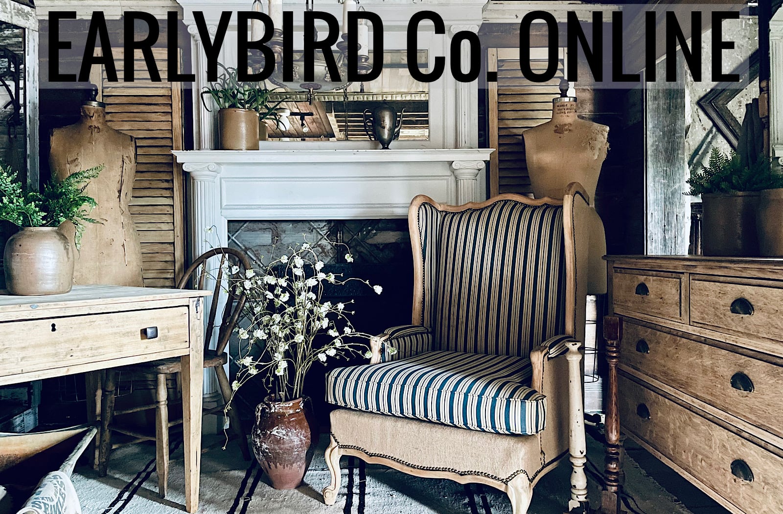 EARLY BIRD Co.ltd ONLINE