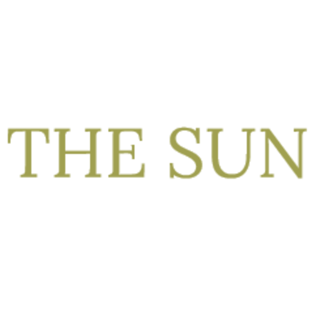 THE SUN Silver & leather an occupation called THE SUN Silver & leather an occupation called