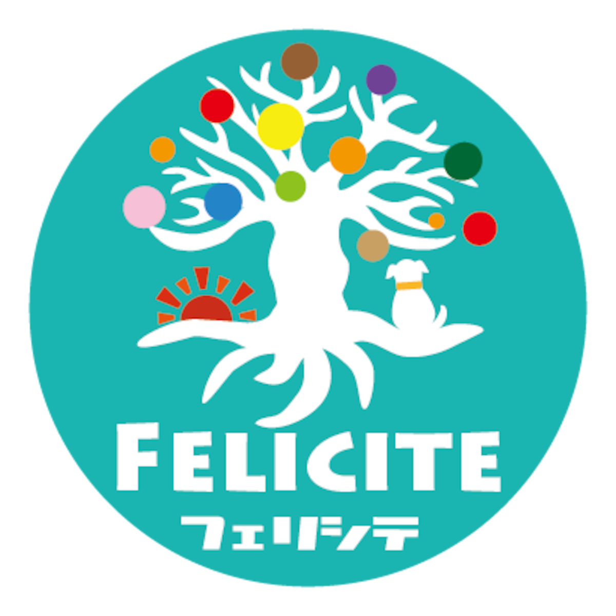 Felicite Felicite