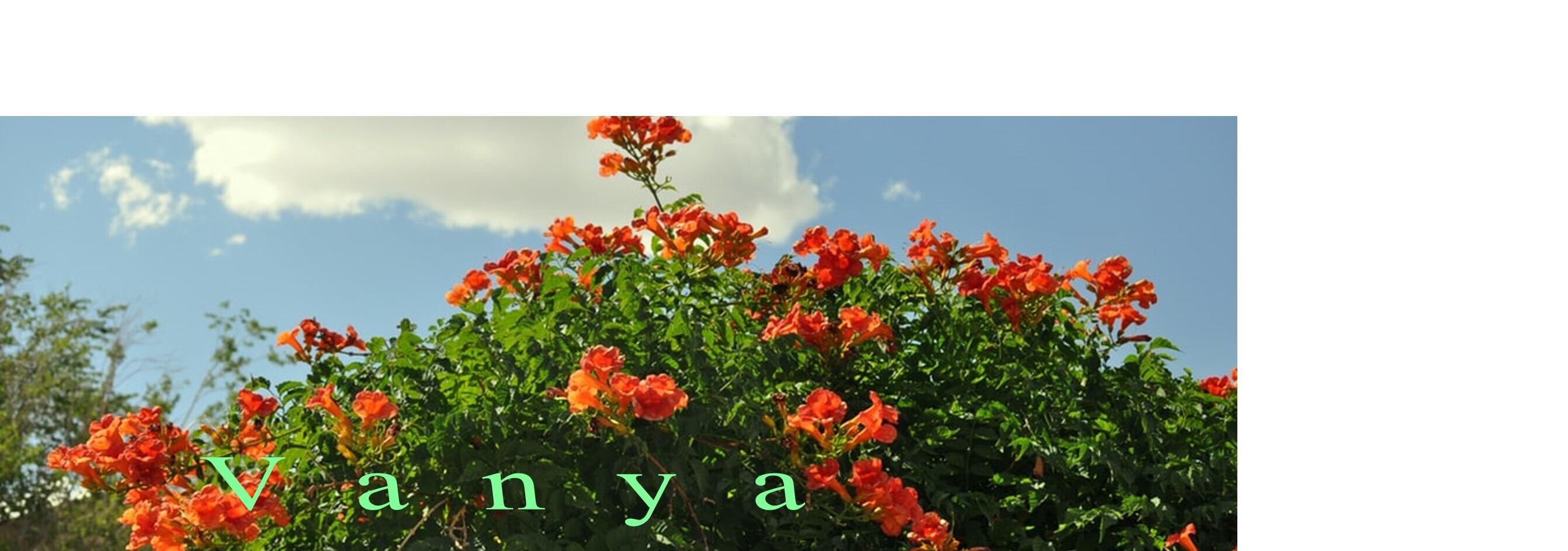 vanya