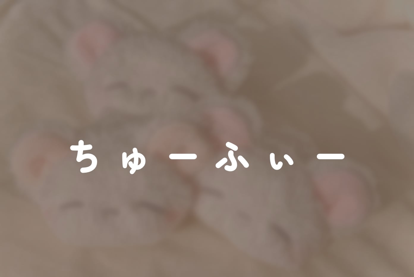 ちゅーふぃー工房