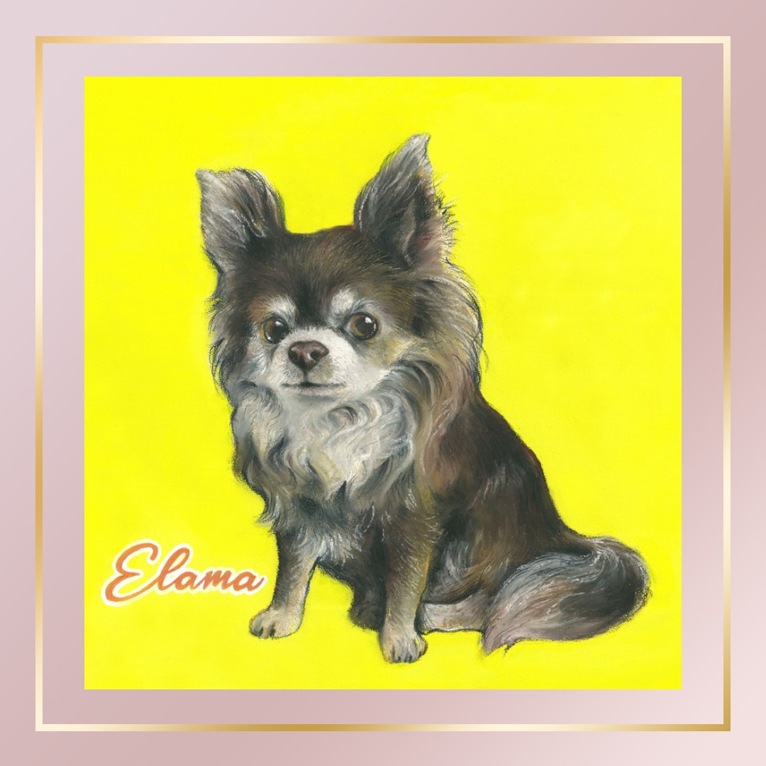 Elama