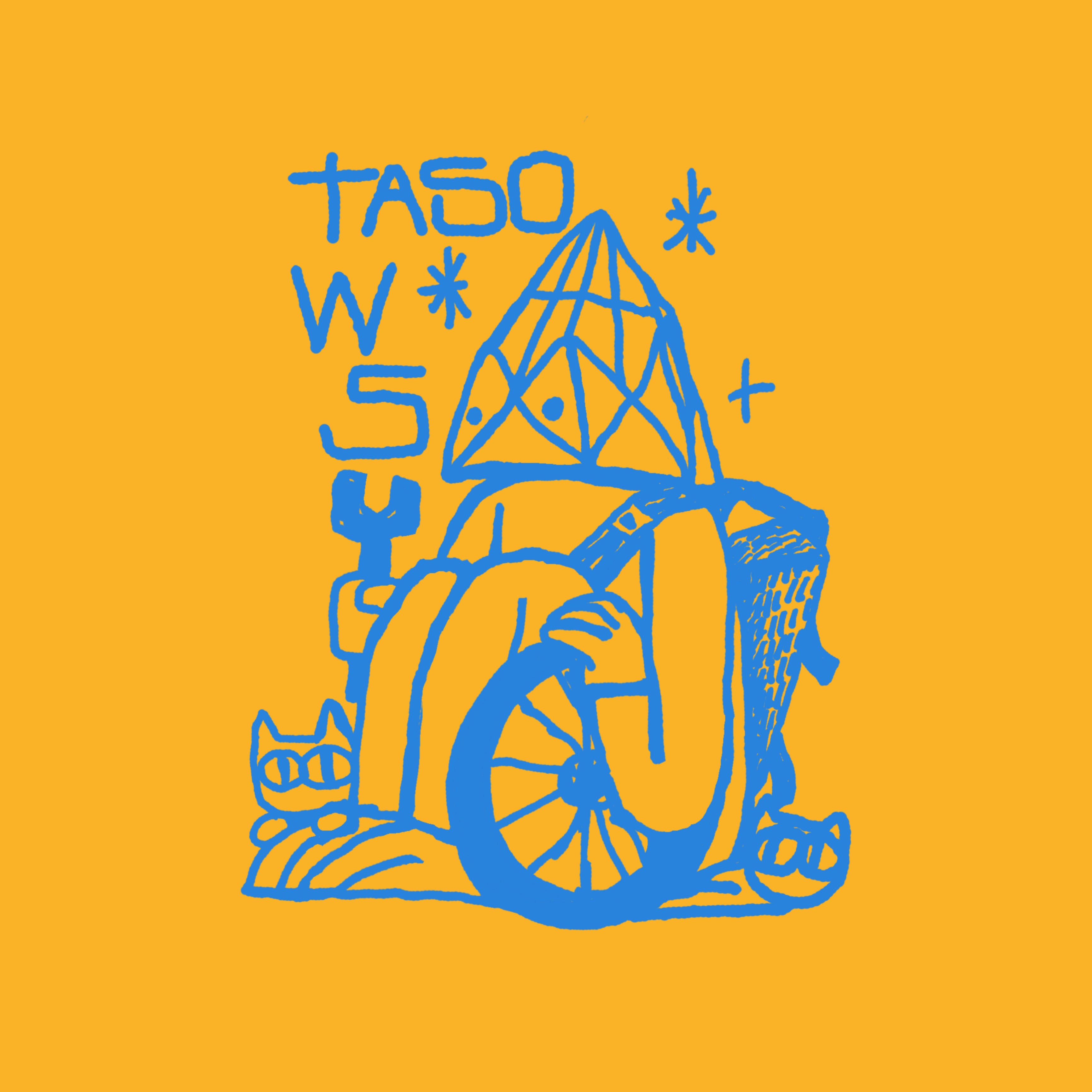 TASO WORKSHOP