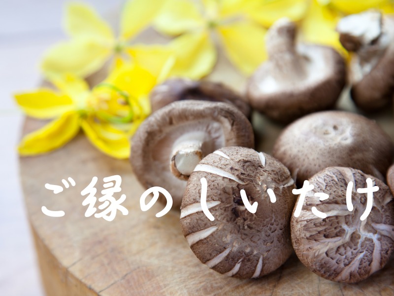 ご縁のしいたけ
