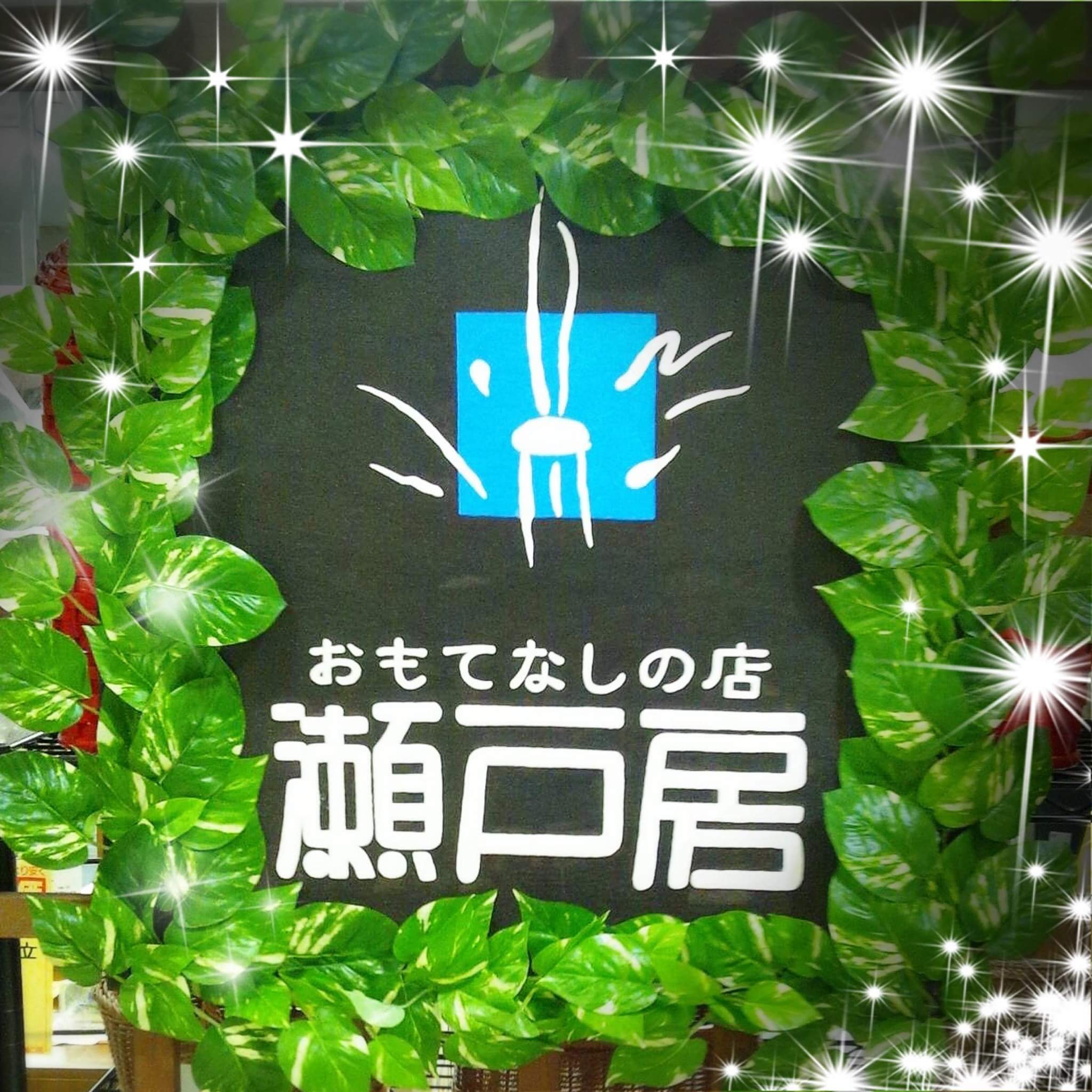 setofusa