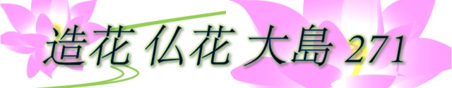 大島271