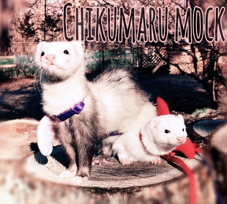 chikumaru-mock
