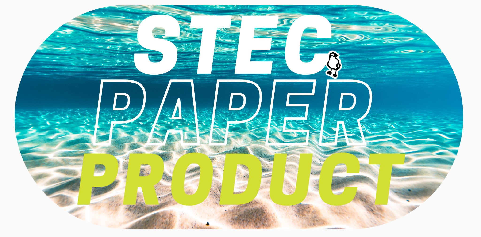 STEC PAPER PRODUCT