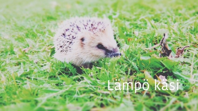 Lämpö käsi （ランポカシー）