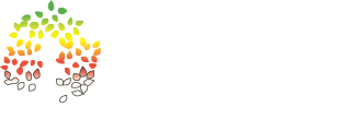 キャトルセゾンMORIオンラインショップ