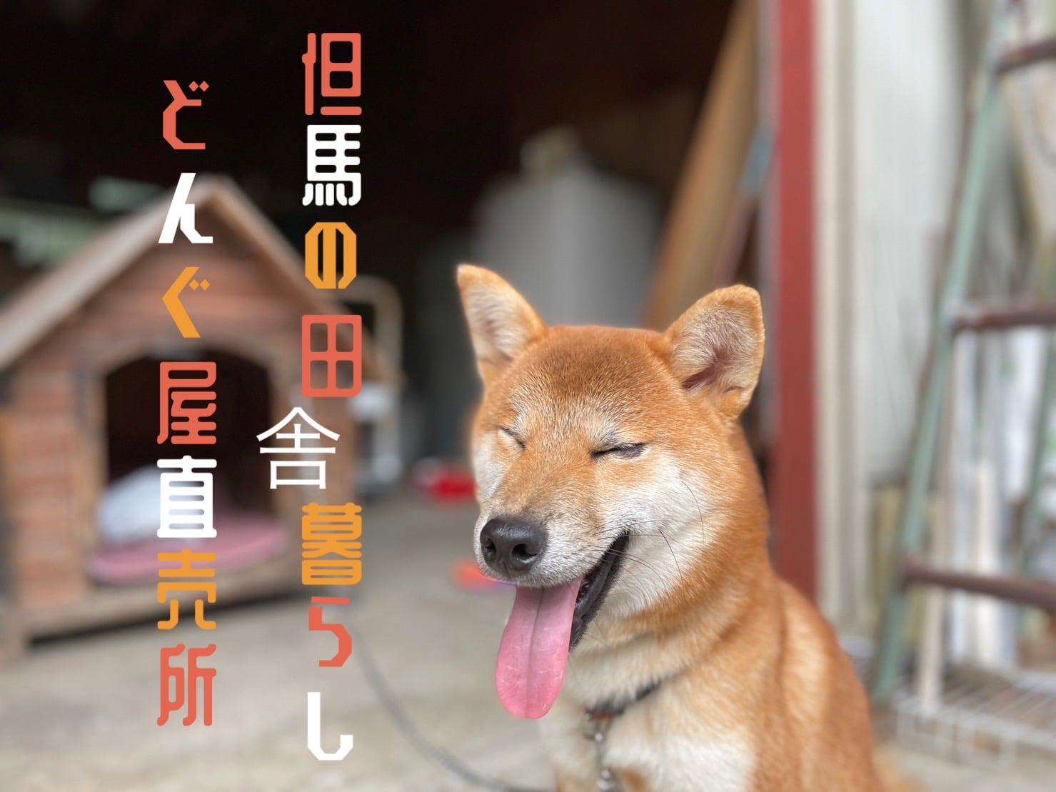  どんぐ屋直売所 