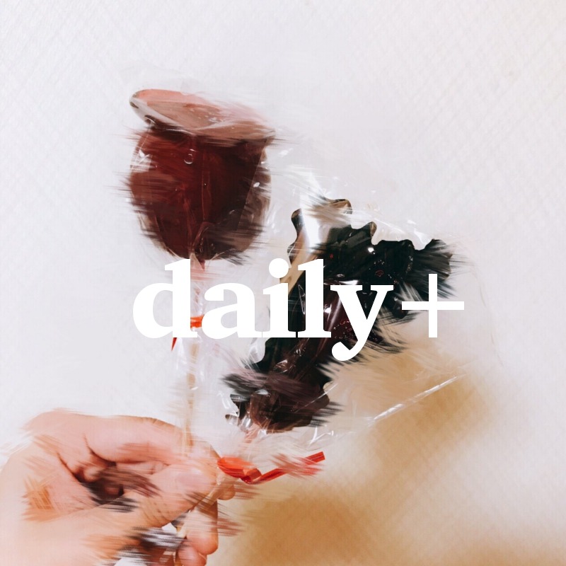 daily+
