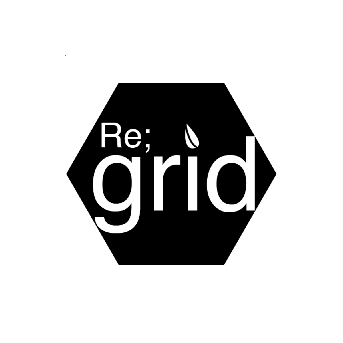 Re;grid Inc. Store