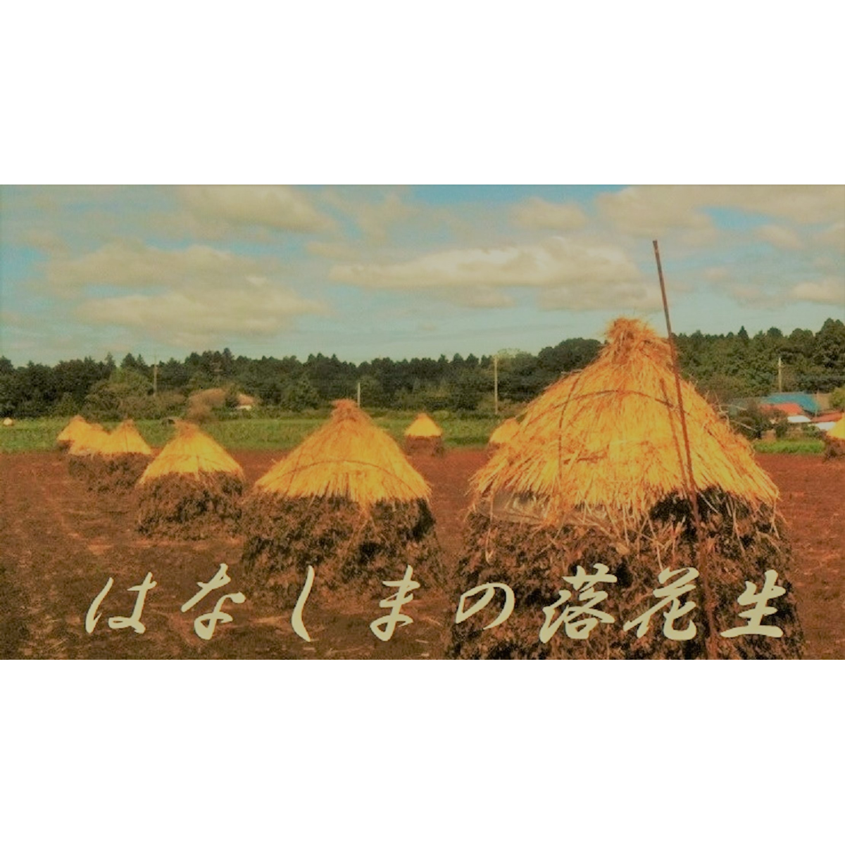 花島商店の外観