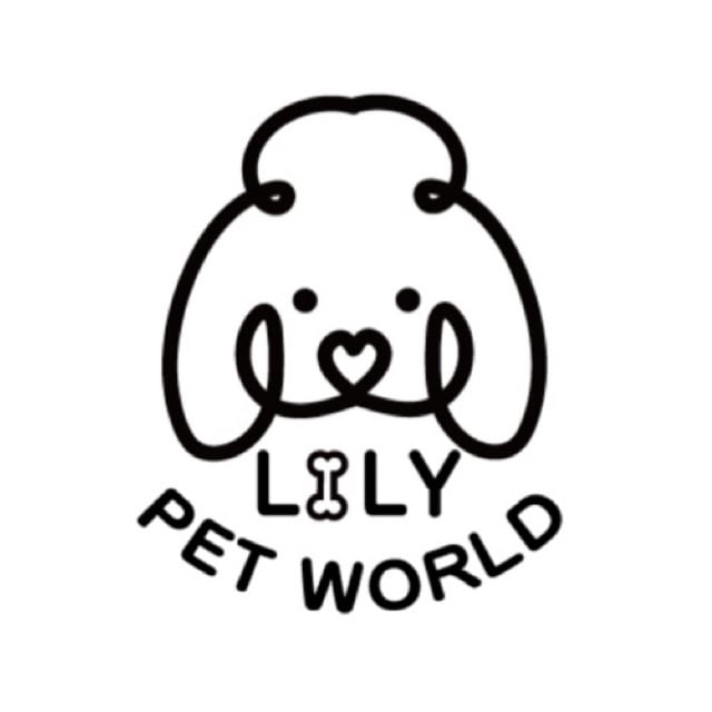 LILYPETWORLD