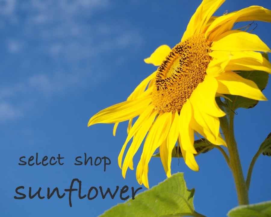 select shop  sunflower