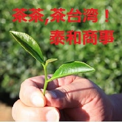 プーアール茶　六キロ　2004年 有名な高級ブランド 六キロ プーアール茶 2004年 茶 - 茶 茶 - 茶