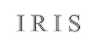 ms-t