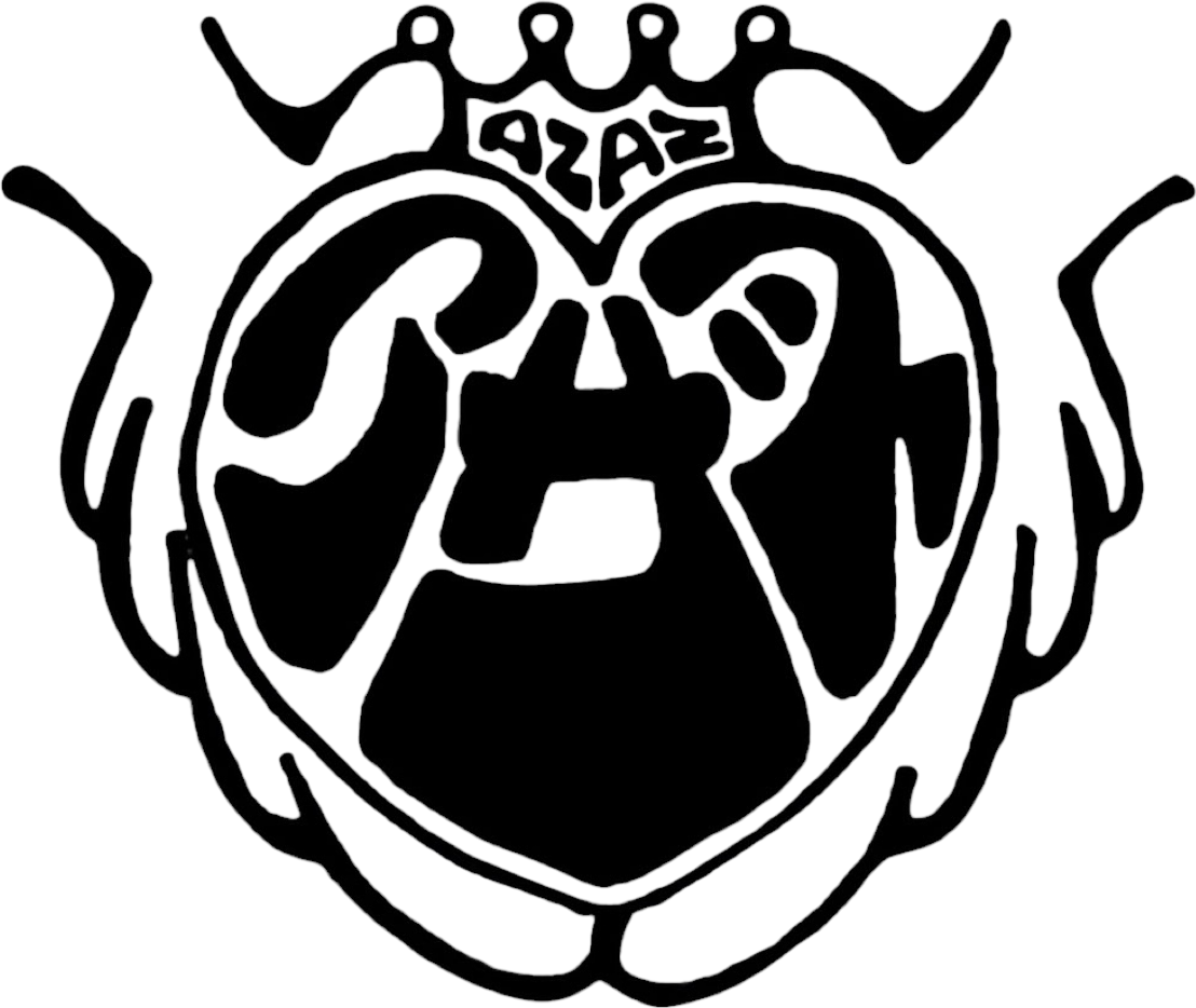 AZAZ Collective official website