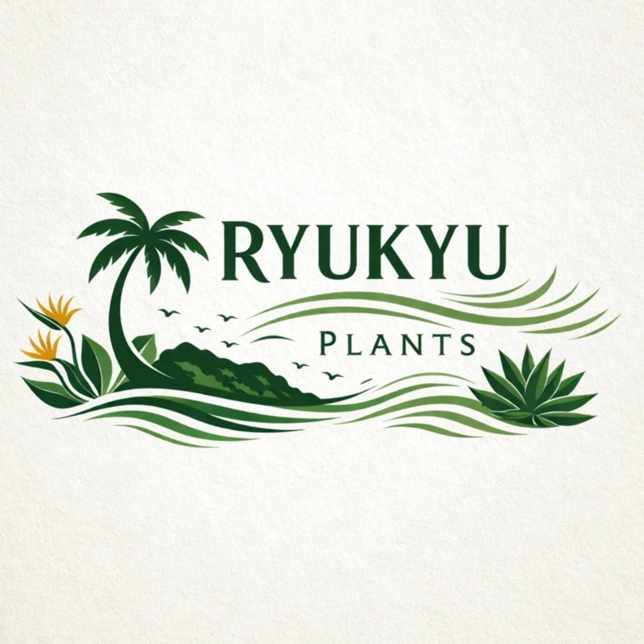 RYUKYU PLANTS【琉球プランツ】