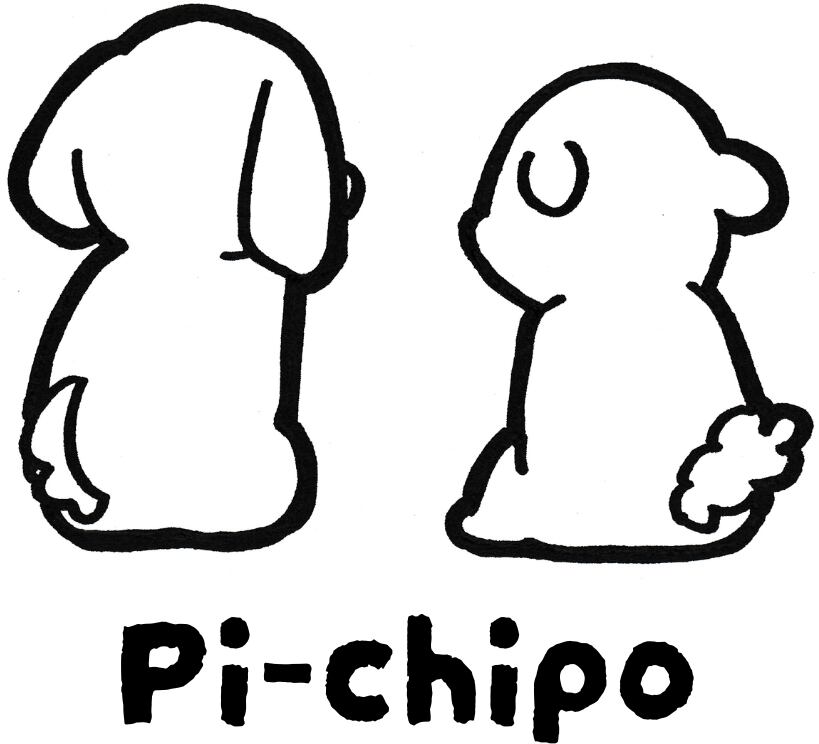 pi-chipo
