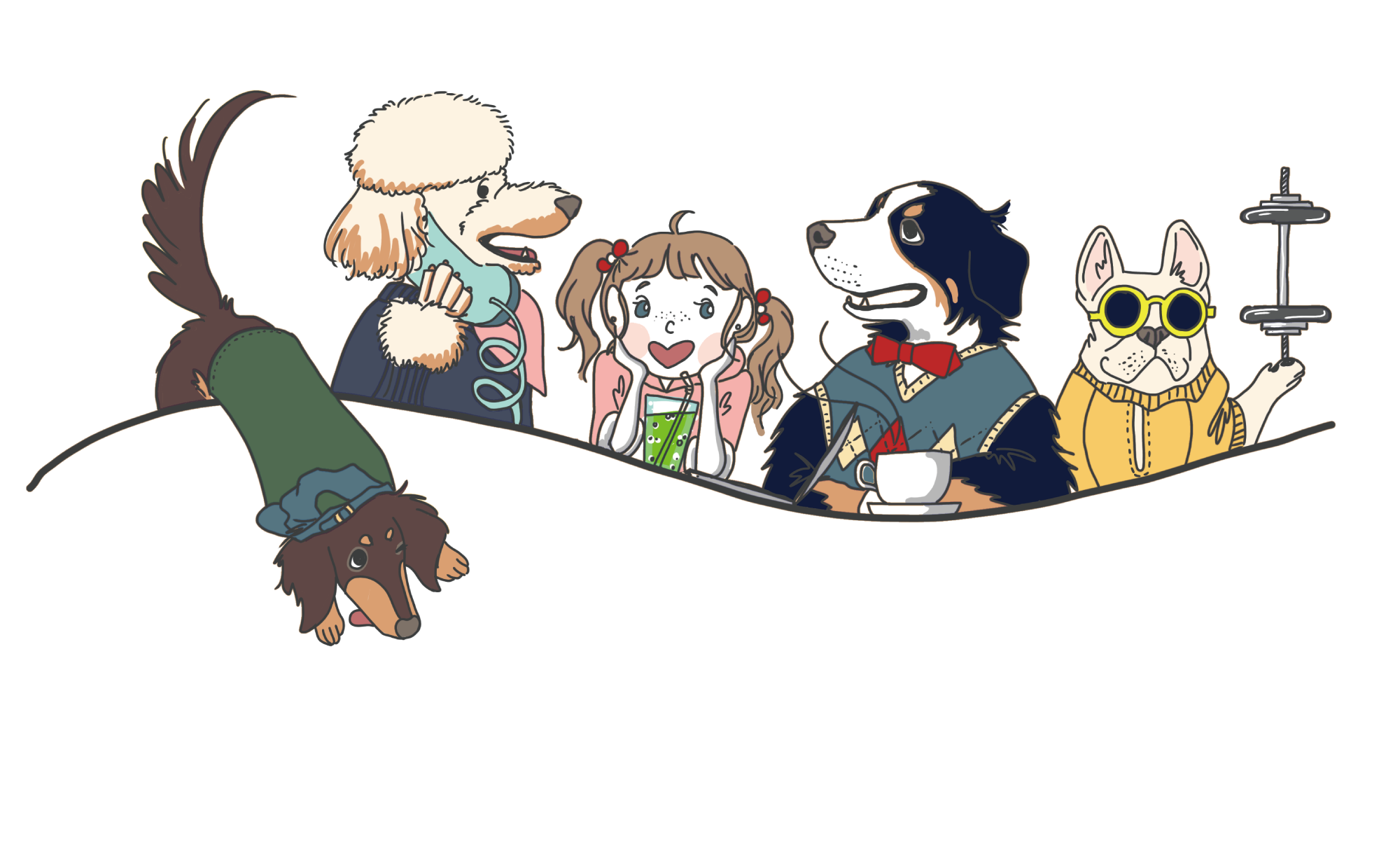 パウリブプラス