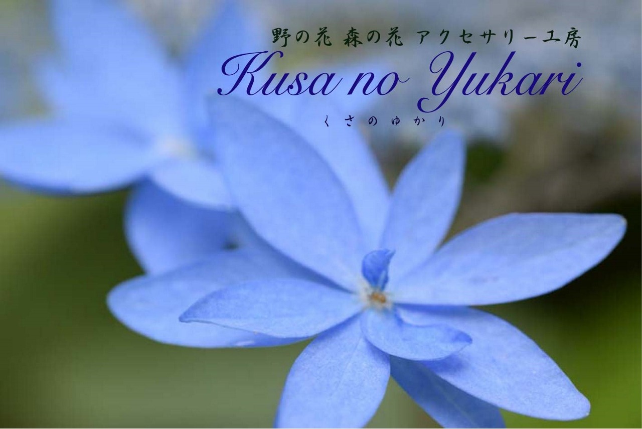 野の花 森の花 アクセサリー工房 Kusa no Yukari