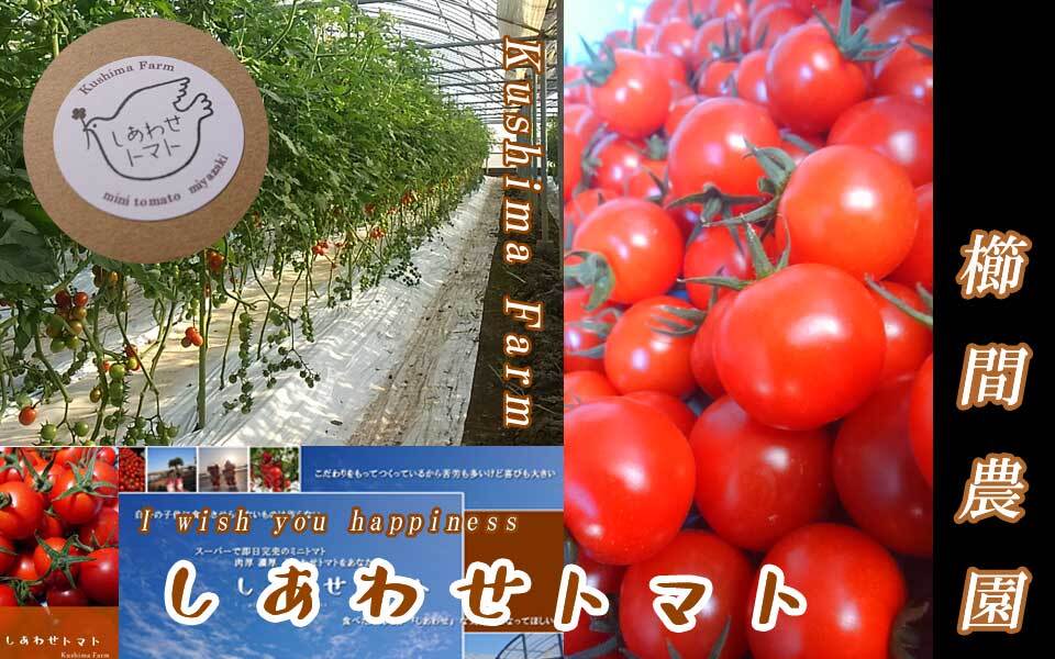 kushima farm－しあわせトマト－櫛間農園