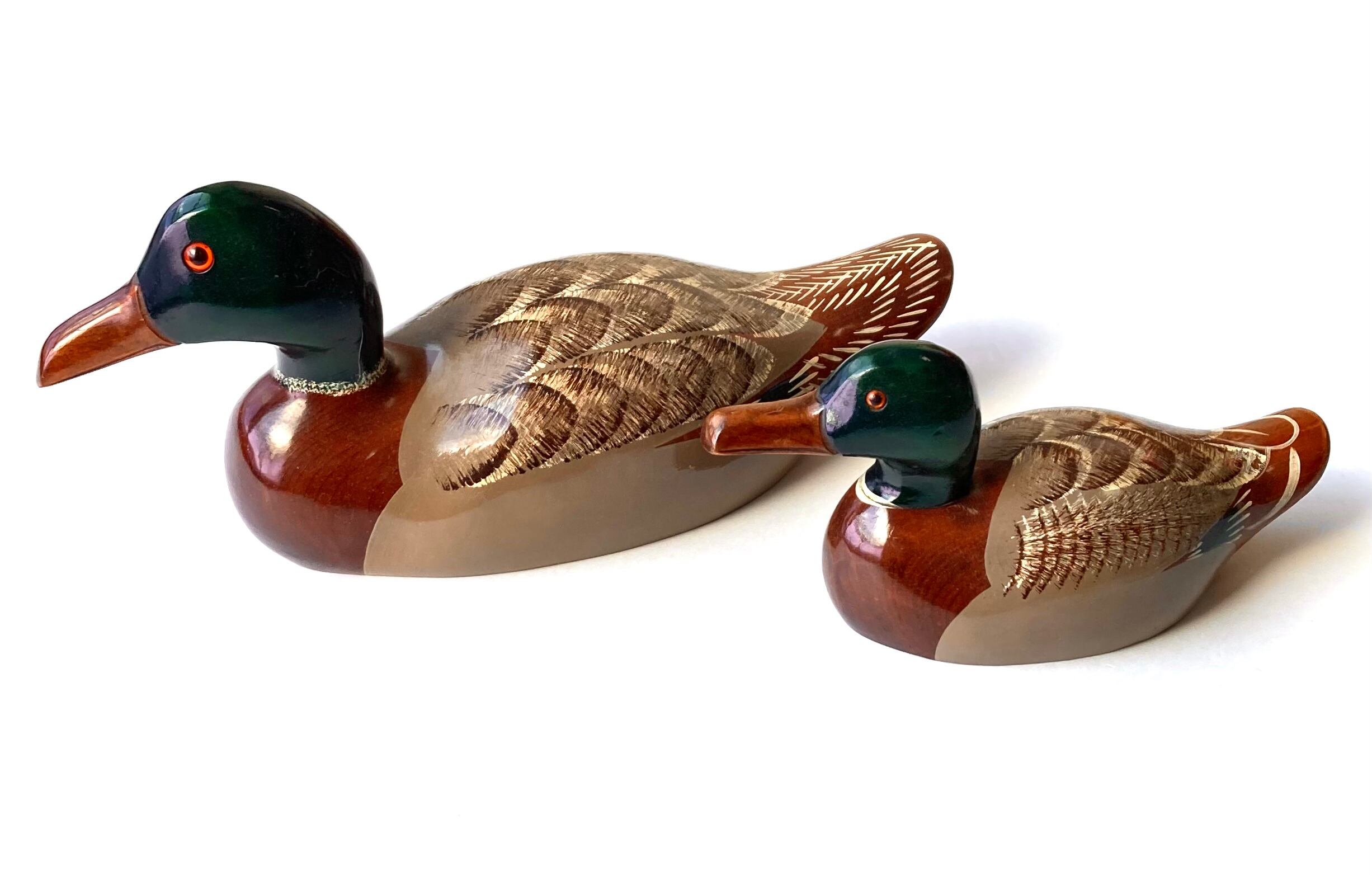 DUCKS