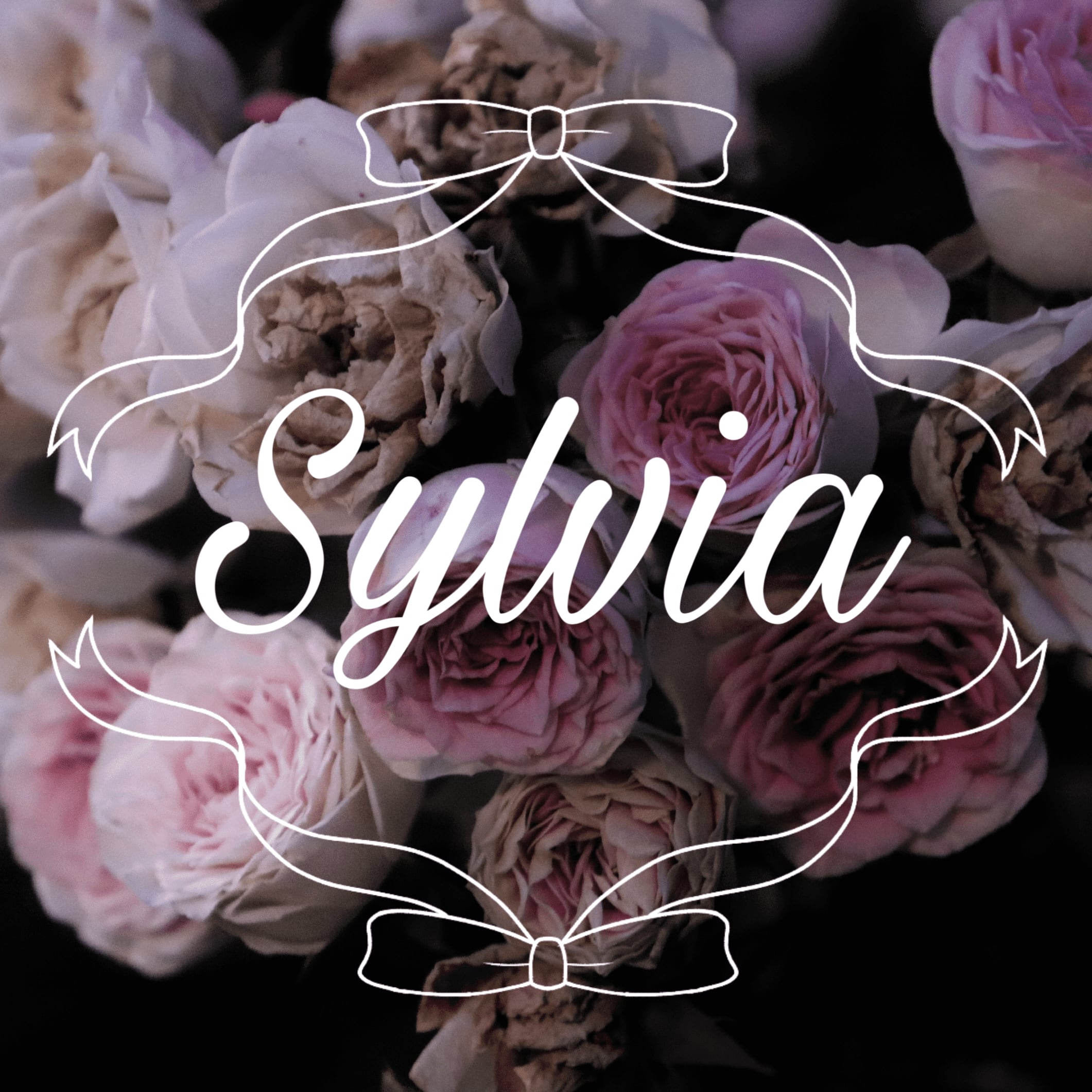 Sylvia 