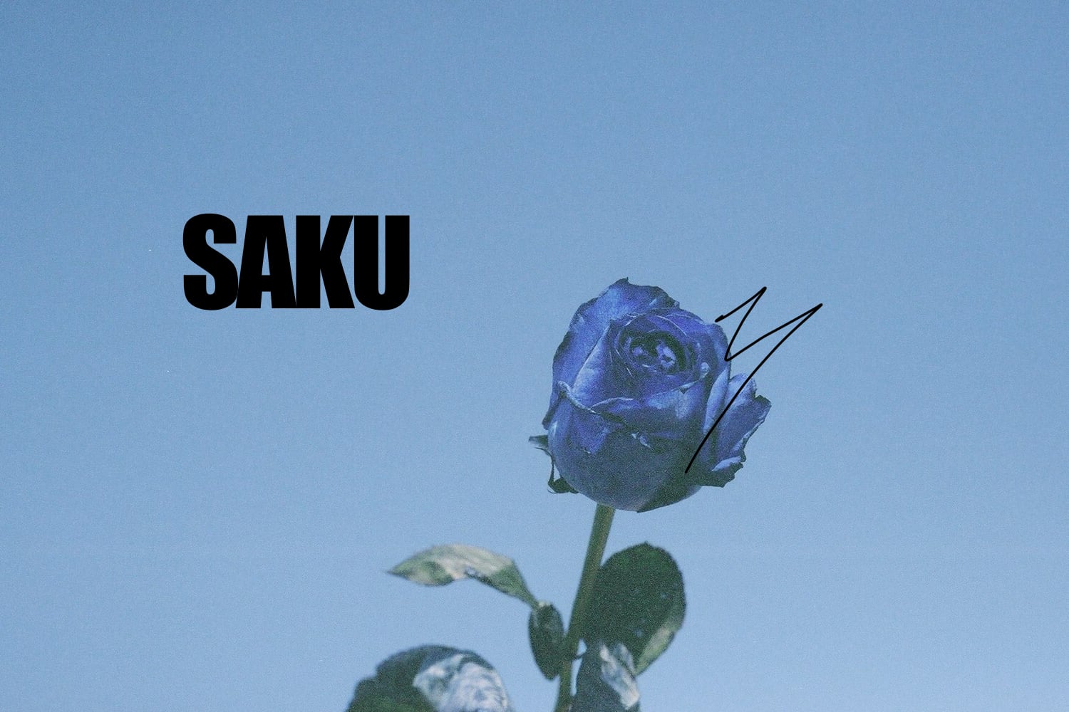 巾着屋　SAKU