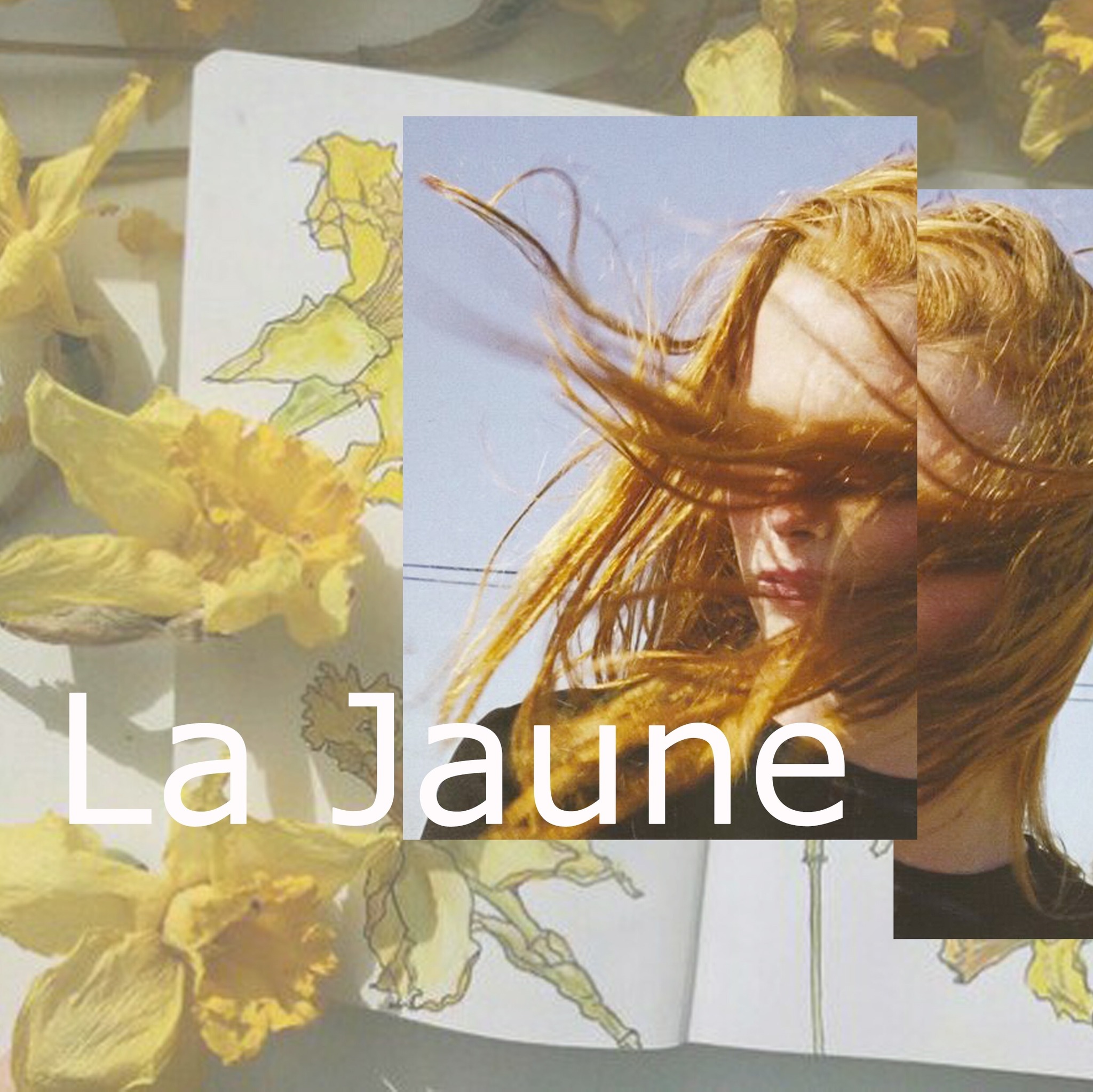 lajaune