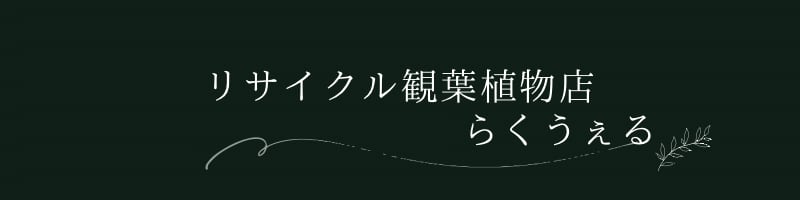 リサイクル観葉植物『らくうぇる』