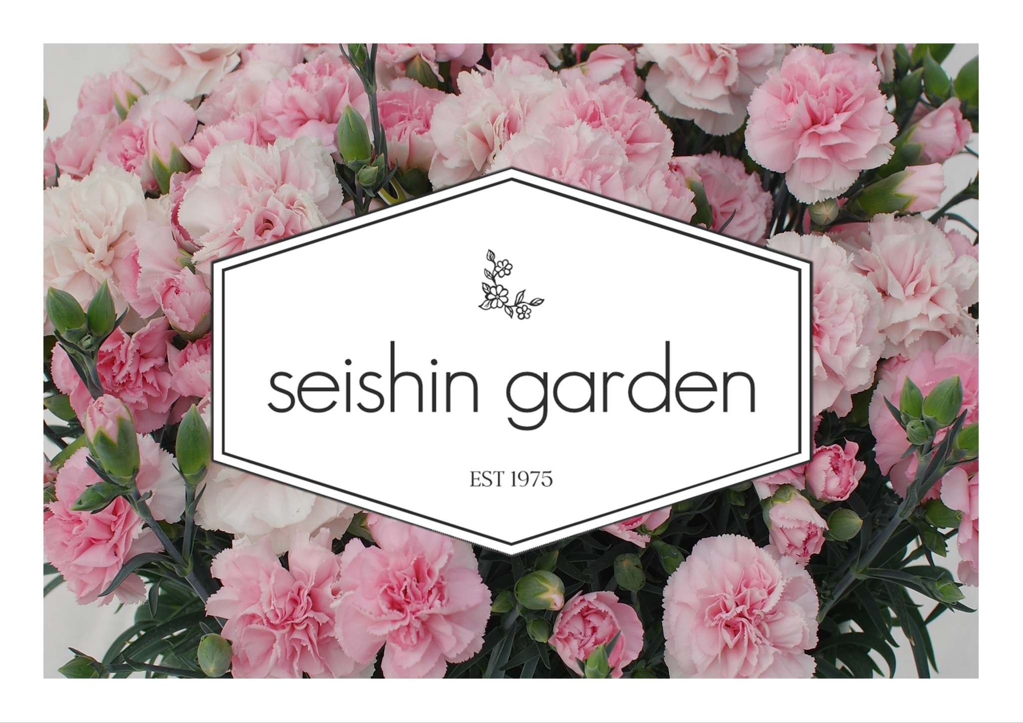 SEISHIN GARDEN 母の日にカーネーションを。