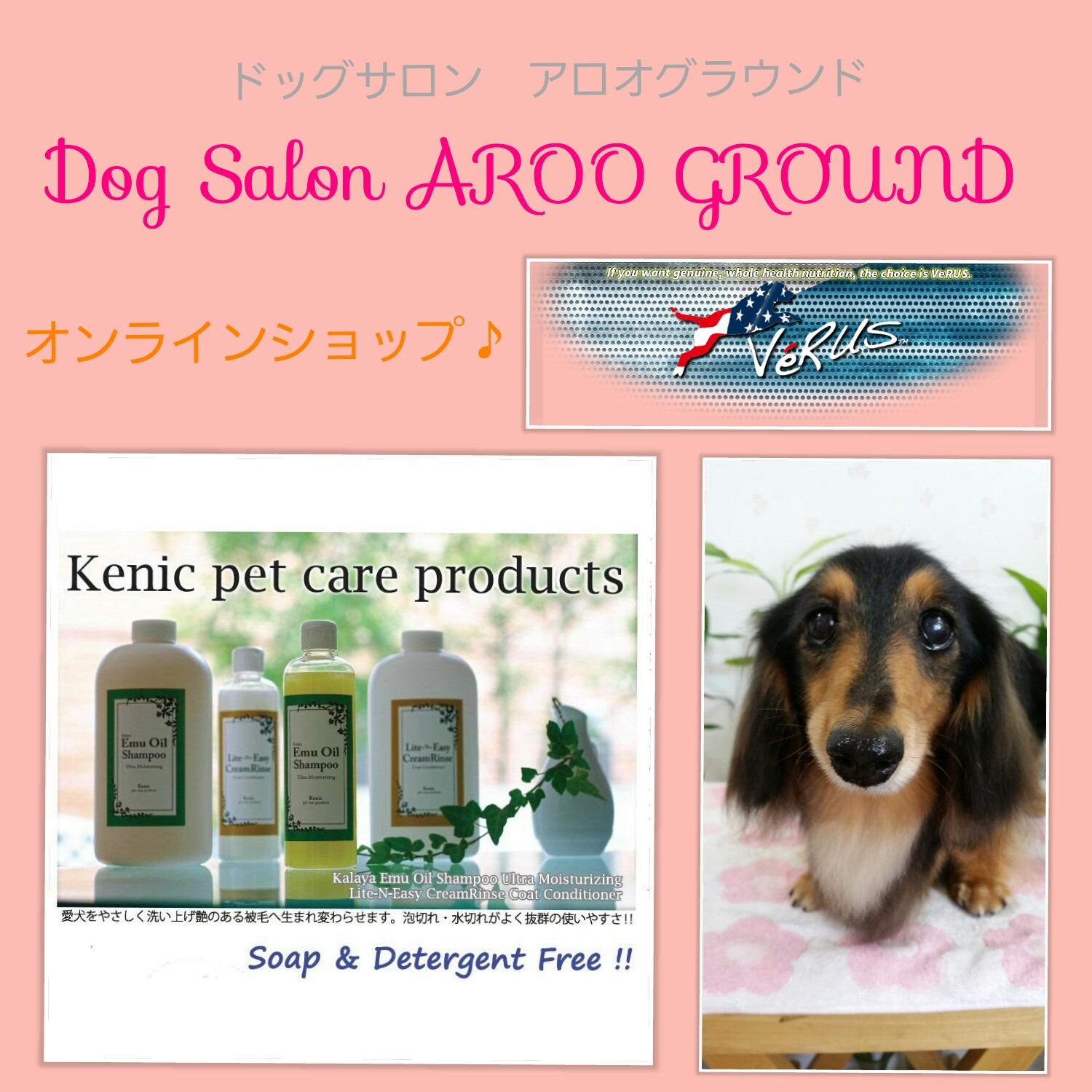 ドッグ Salon AROO GROUNDお客様専用ショッピングサイト（ドッグ　サロン　アロオグラウンド）