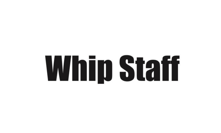 WHIPSTAFF