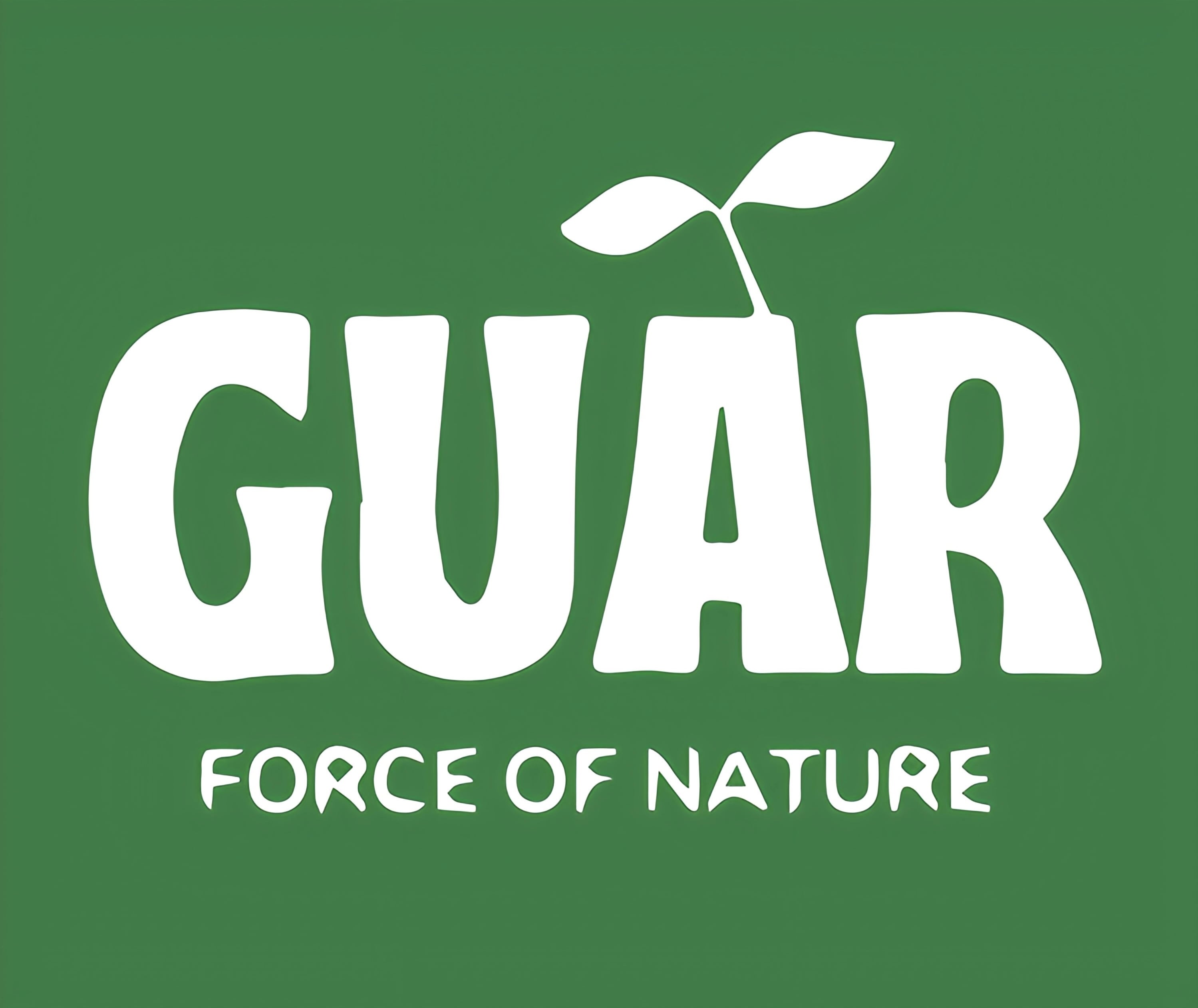 GUARオンライン