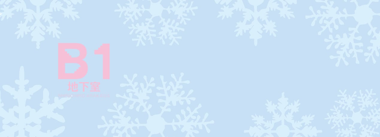 SHINICHIRO ARAKAWA  B1 地下室