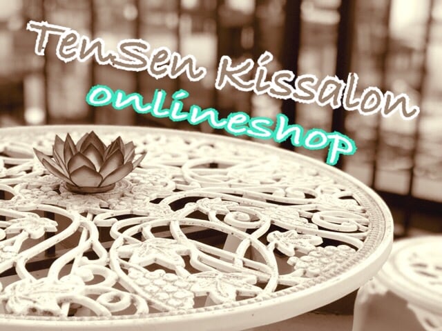 マイホーム焙煎器『いりたて名人』 | TenSen Kissalon OnlineShop