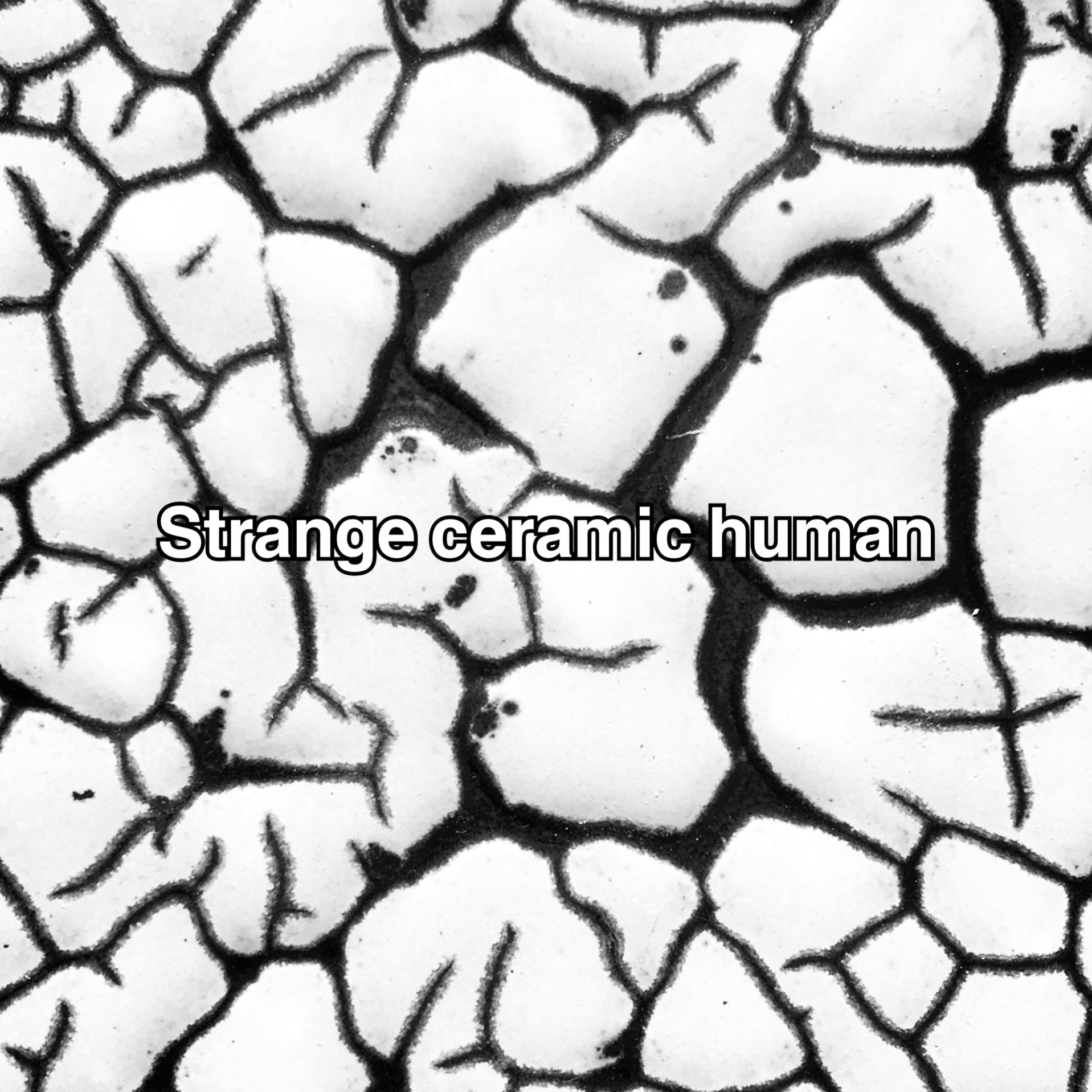 Strange ceramic human