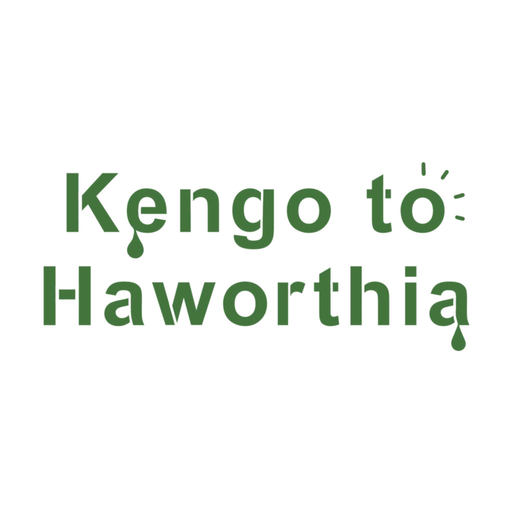 kengo_to_haworthia