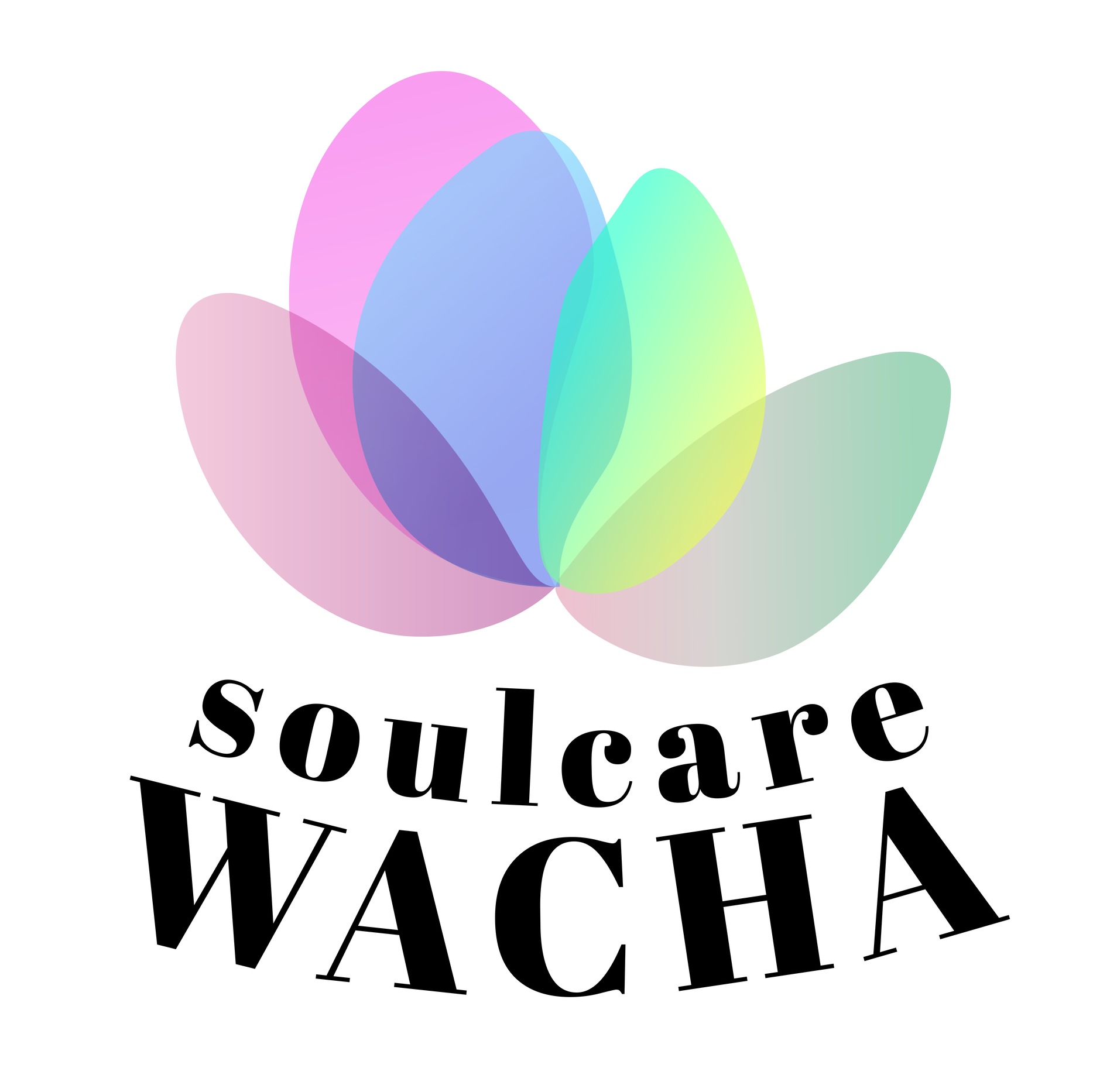 WACHA | Japanese Botanical Matcha Ritual