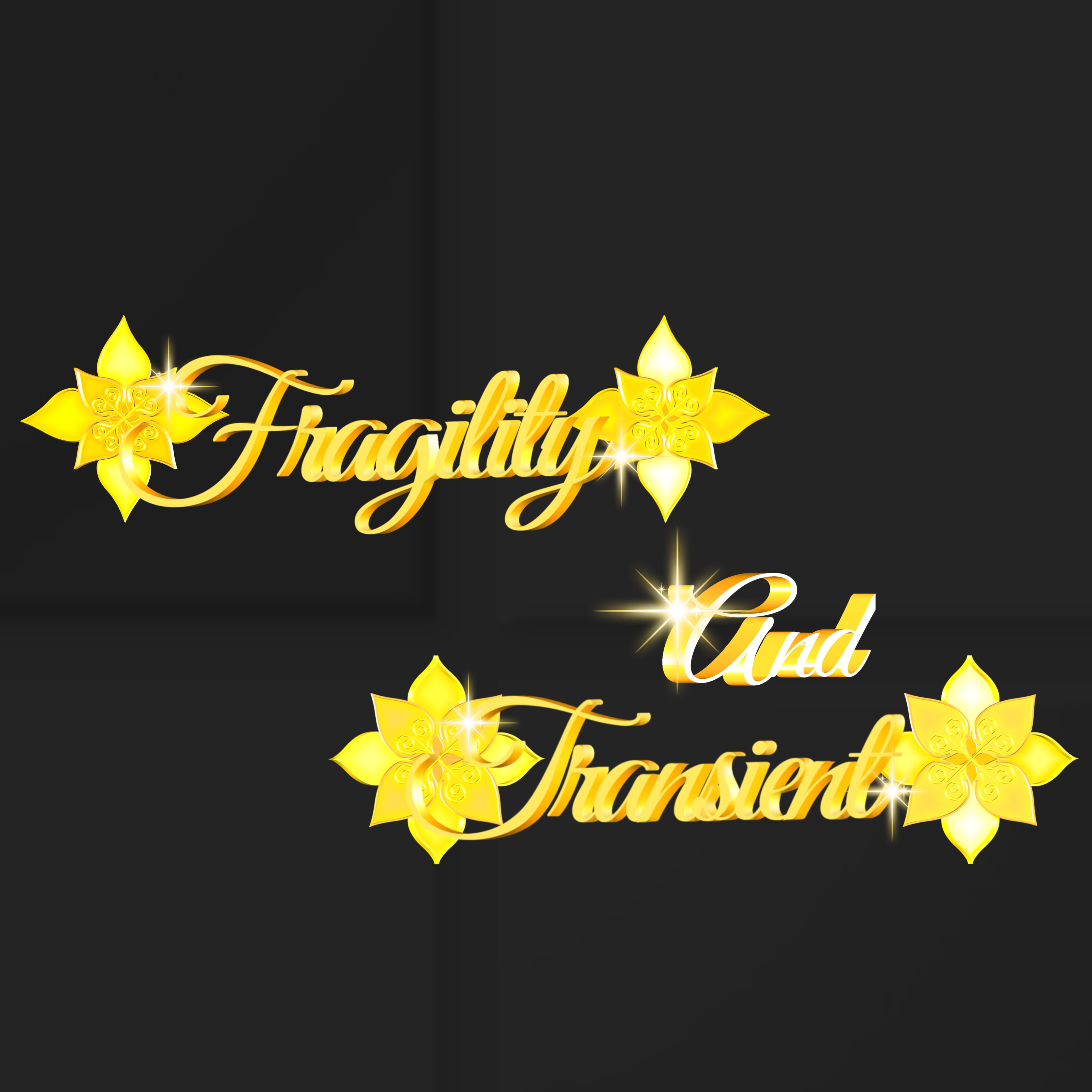 fragility and transient ✵੯•`໒♥⁡⠀