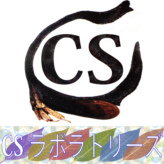 CSラボラトリーズ