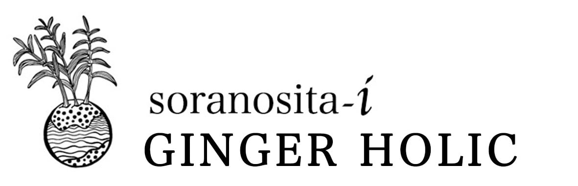 soranosita-i GINGER HOLIC