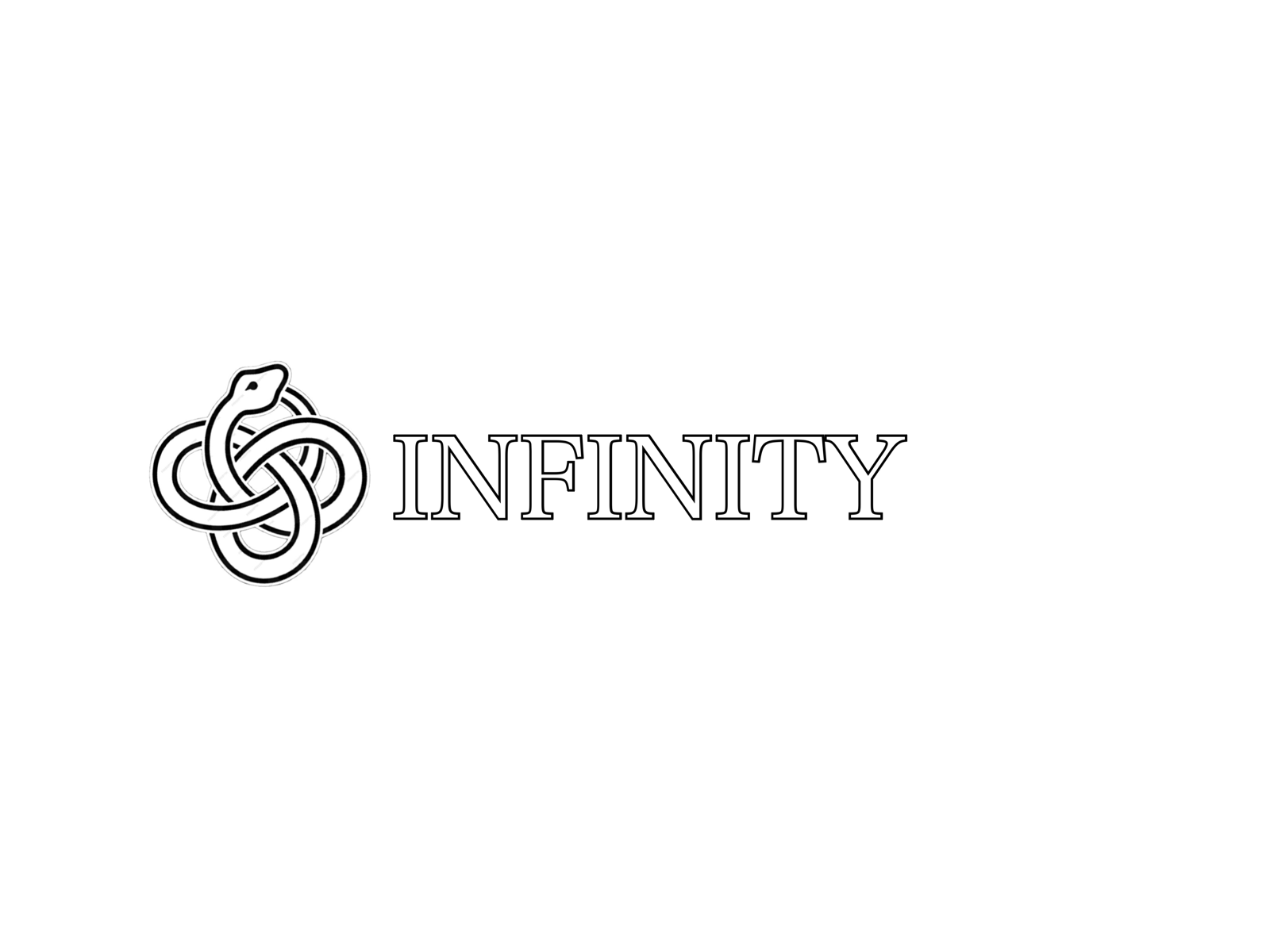 infinity2013
