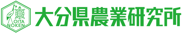 大分農研オンラインショップ