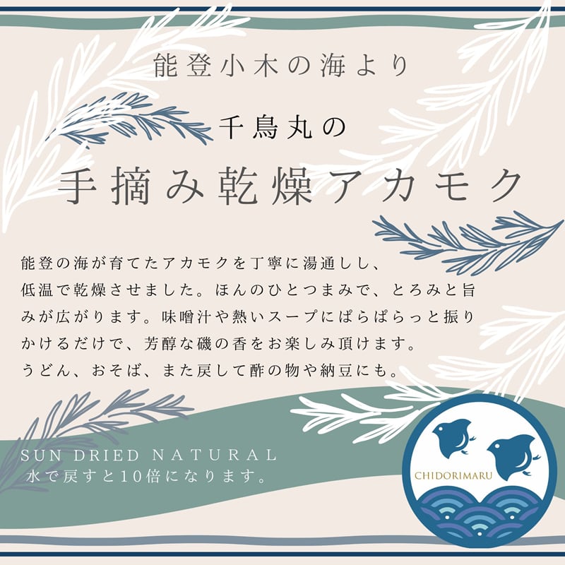 能登小木　千鳥丸